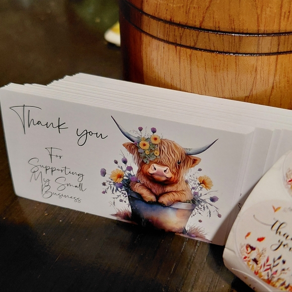 NWT - 550ct. 50ct. Thank You Cards 500ct. Stickers/Bonus Random 3 Polymailers - Picture 3 of 5